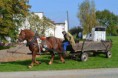 /album/foto1/dsc-0135-24-jpg/